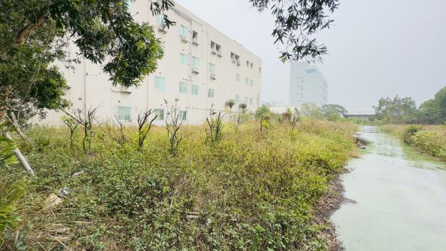 苗栗竹南工業地-9