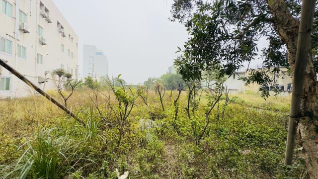 苗栗竹南工業地-5