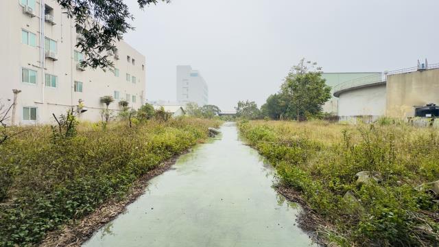 苗栗竹南工業地-6
