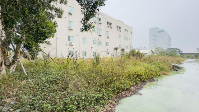 苗栗竹南工業地-8
