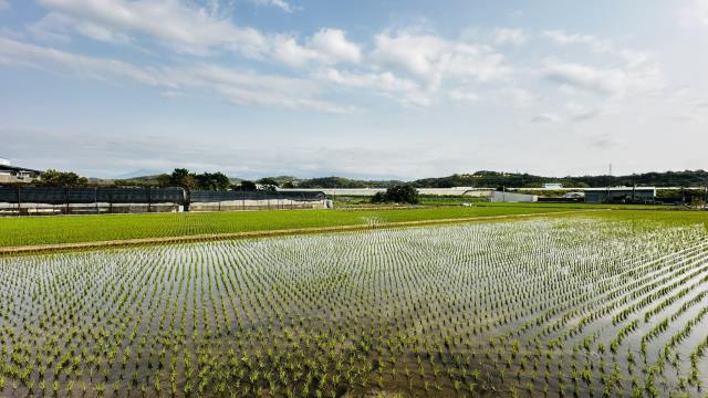 頭份工業地-2
